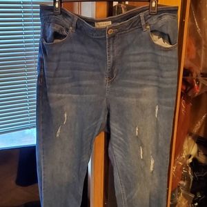 Eloquii Viola fit Jeans